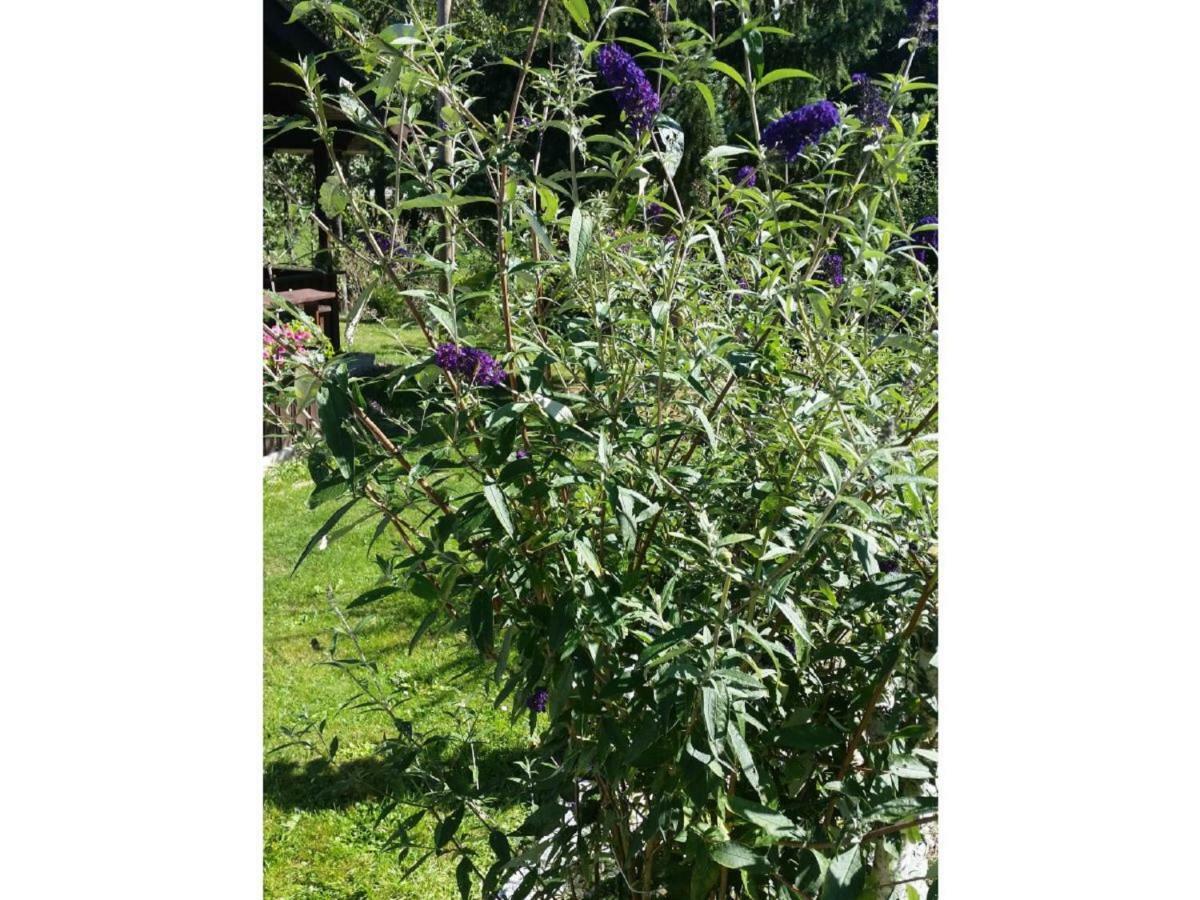 Gerda'S Ferienhaeuser Eppenschlag 外观 照片