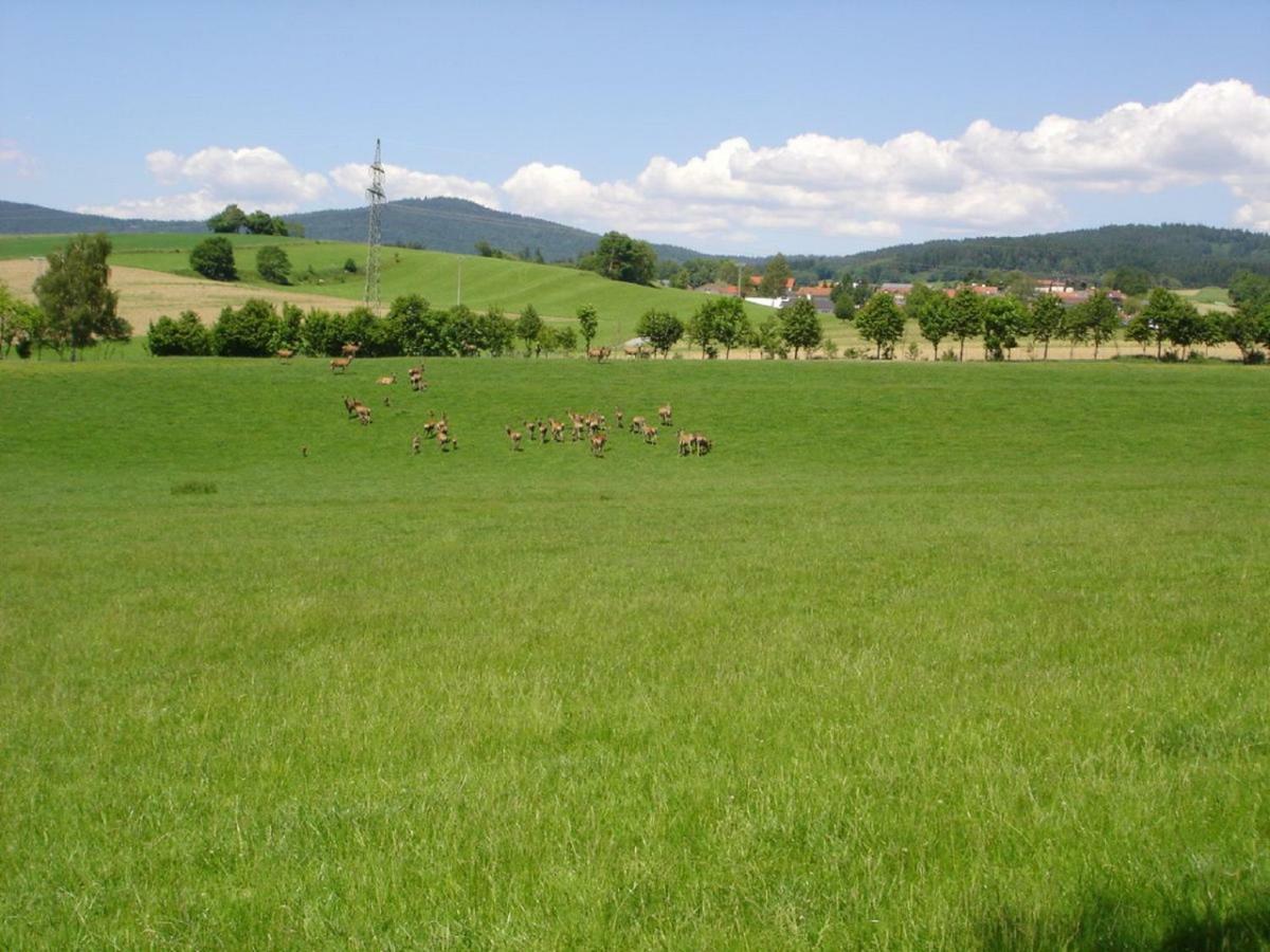 Gerda'S Ferienhaeuser Eppenschlag 外观 照片
